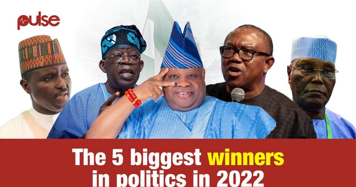 Pulse Picks: The 5 biggest political winners in 2022 | Pulse Nigeria