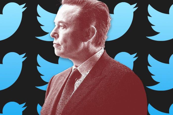 Patrick Pleul/Getty Images; Twitter; Vicky Leta/Insider