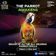 BBNaija All Stars' Parrot set to spill secrets tonight