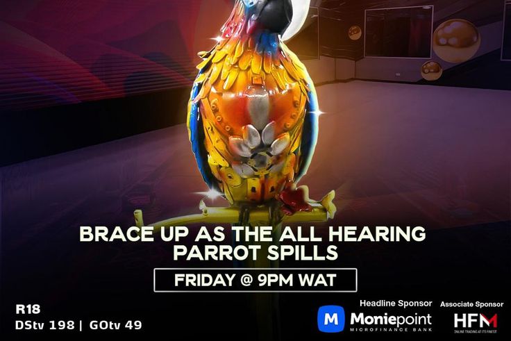 BBNaija All Stars' Parrot set to spill secrets tonight