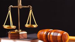 Court orders litigants to jointly own dog they have been fighting over