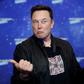 Twitter CEO Elon Musk Changes Iconic Blue Bird Logo to 'Doge' Meme (Unknown)