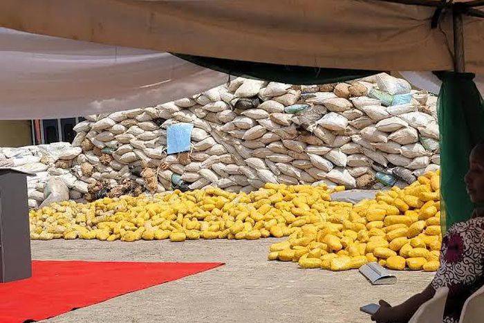 NDLEA seizes drugs [Ships & Ports]