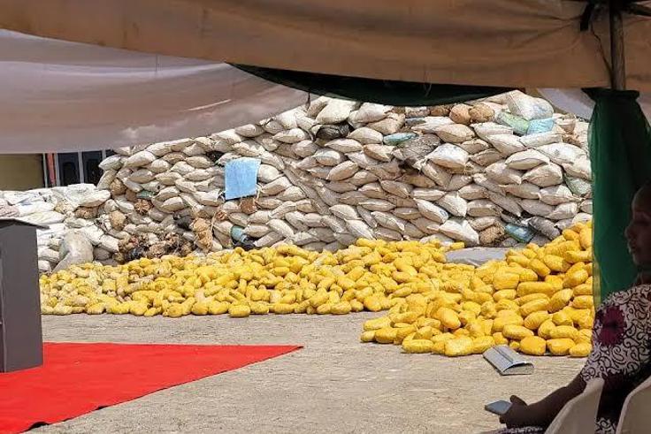 NDLEA seizes drugs [Ships & Ports]