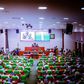 House of reps passes 2024 Appropriation Bill for second reading. [Punch]