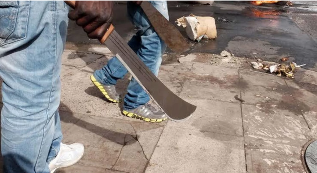 2 Aye cultists confess to killing 15 Eiye members in Lagos | Pulse Nigeria