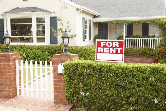 5 things to consider before buying rental property in Zimbabwe