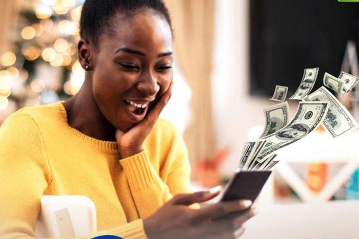 How Nigerians can earn in dollars [Africancourier]