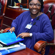 Bridget Anyafulu. [NAN]