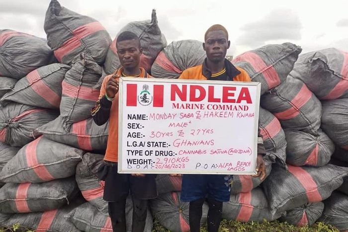 NDLEA arrests 2 Ghanaians with 5,344kgs imported skunk consignments in Lagos. [Facebook:NDLEA]