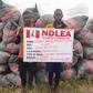 NDLEA arrests 2 Ghanaians with 5,344kgs imported skunk consignments in Lagos. [Facebook:NDLEA]