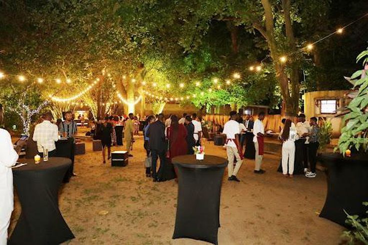 Image Impressions Exhibition kicks off with a grand reception at the Vaughan Richards House, hosted by FF Projects