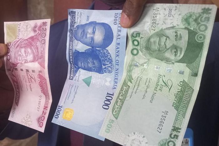 Counterfeit Naira notes [Benjamin Dada]