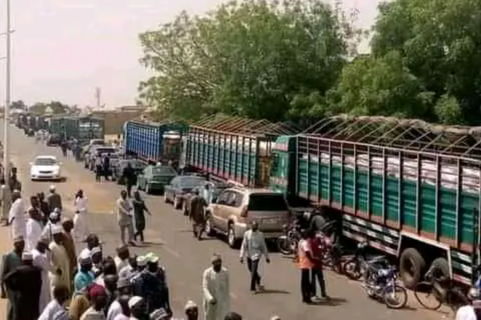 Zamfara Senator donates 240 trucks of food items to fasting Muslims.