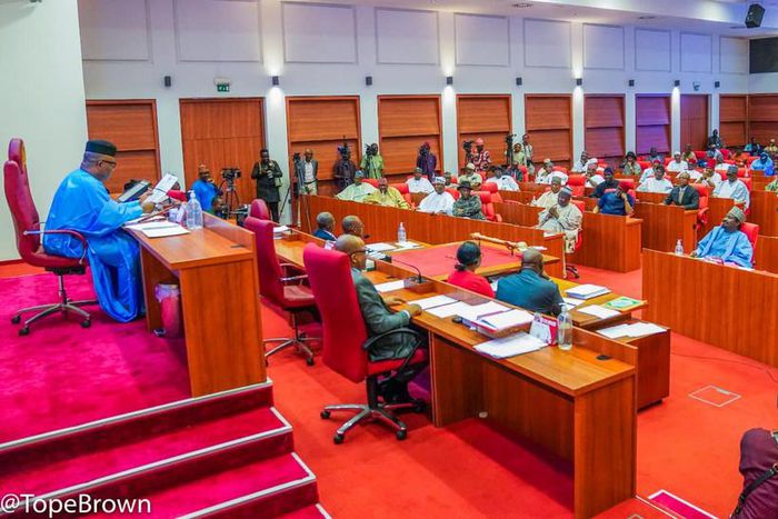 Nigerian senators [Tope Brown]