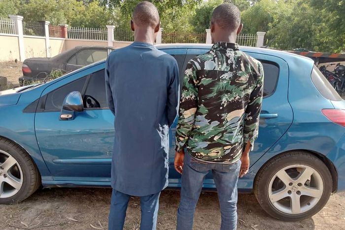NSCDC arrests 2 suspected car snatchers in Kano [NAN]