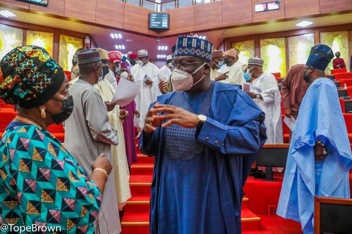 Nigerian senators [Tope Brown]