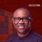 How Peter Obi made his money