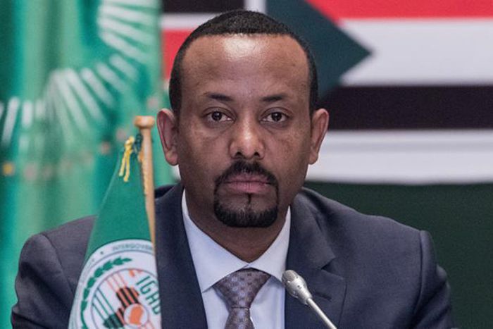 Prime Minister Abiy Ahmed [Punch]