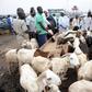 livestock market in Nigeria (International Business Times)