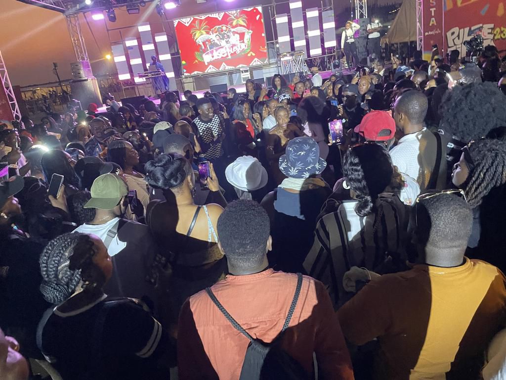 Pulse Fiesta ushers Lagos into Detty December proper3