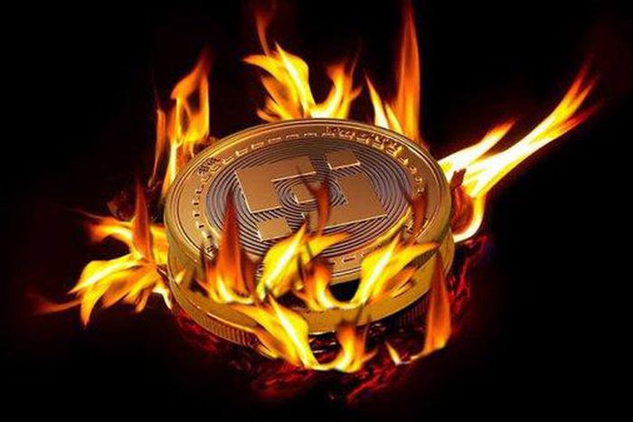 Developers burning their cryptocurrencies