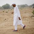 President Muhammadu Buhari on his farm in Daura, Katsina State