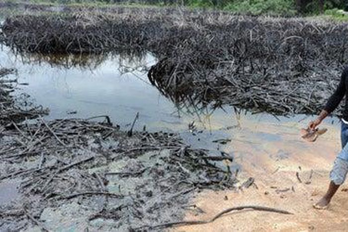 Agency concludes probe of oil spill from Shell’s facility in Bayelsa