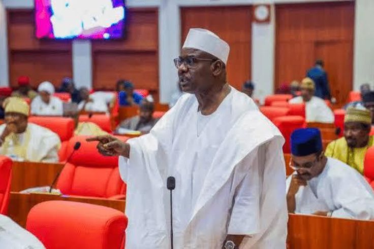 Chief Whip of Senate, Sen. Ali Ndume [Tribune Online]