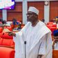 Chief Whip of Senate, Sen. Ali Ndume [Tribune Online]