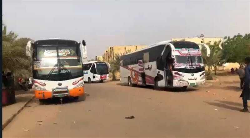 Evacuation busses [Sudan jpg pages speedic]