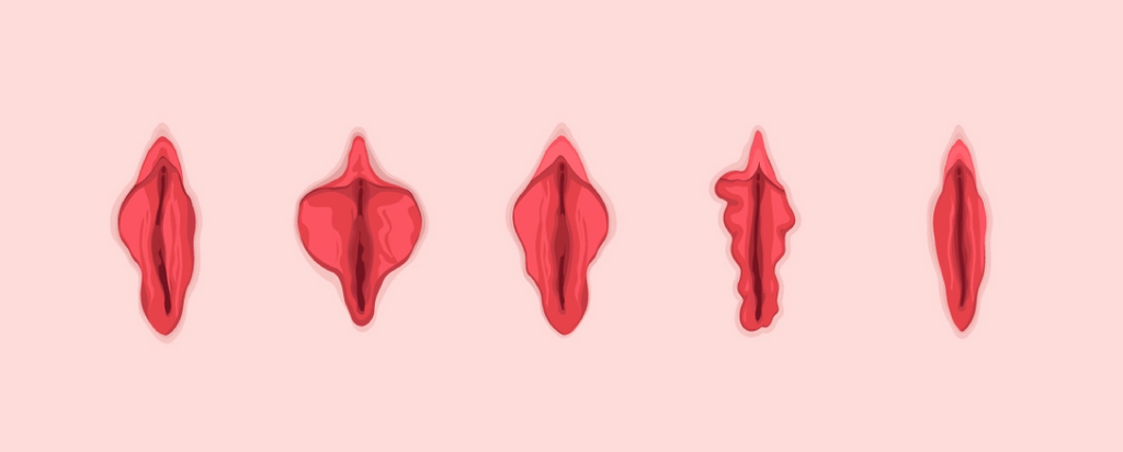 There are different types of vagina [Freepik]