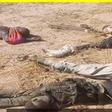 NAF airstrikes eliminate over 100 terrorists in Niger, Zamfara  [Twitter:NigerianArmy]