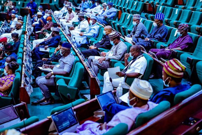 Lawmakers during plenary in the Federal House of Representatives chamber [Twitter/@NGRHouse]
