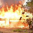 Burnt cannabis farm land in Edo Forest