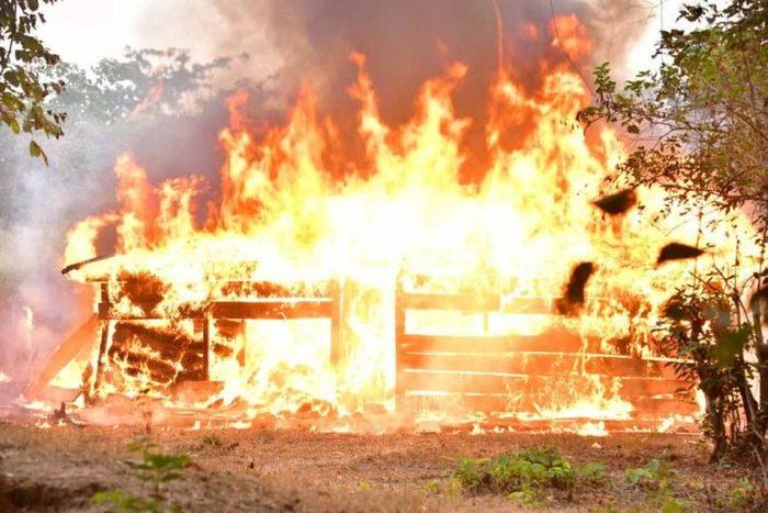 Burnt cannabis farm land in Edo Forest
