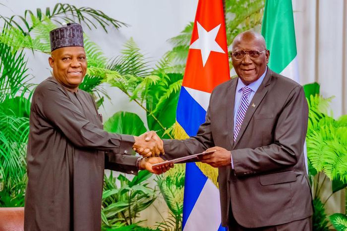 Vice President of Cuba, Salvador Valdez Mesa (R) and his Nigerian counterpart, Kashim Shettima (L). [Presidency]