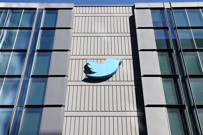 Twitter's trust and safety team held a one day sickout in protest of Musk's policies on November 10.Tayfun Coskun/Getty Images