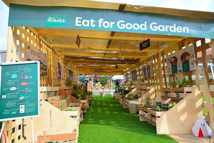 Spicing Up the Capital: Knorr Jollof Fest thrills Abuja