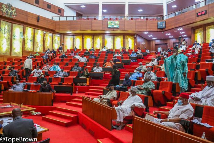 Nigerian senators [Tope Brown]