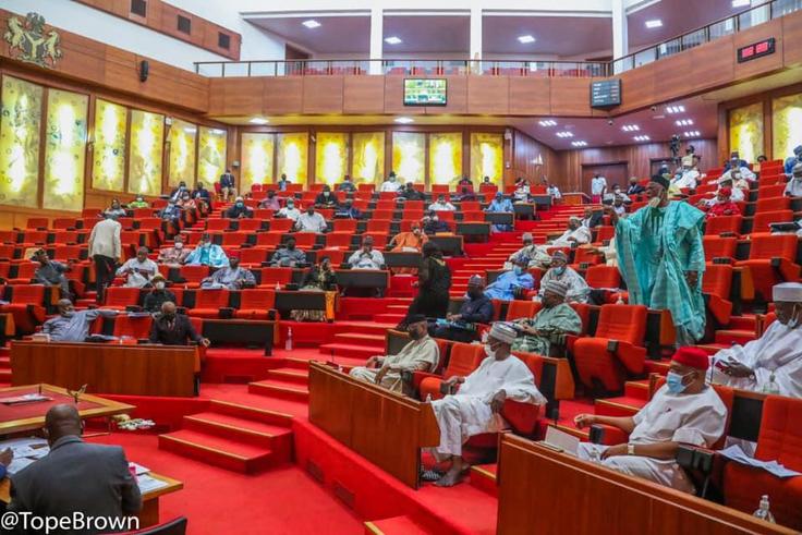Nigerian senators [Tope Brown]