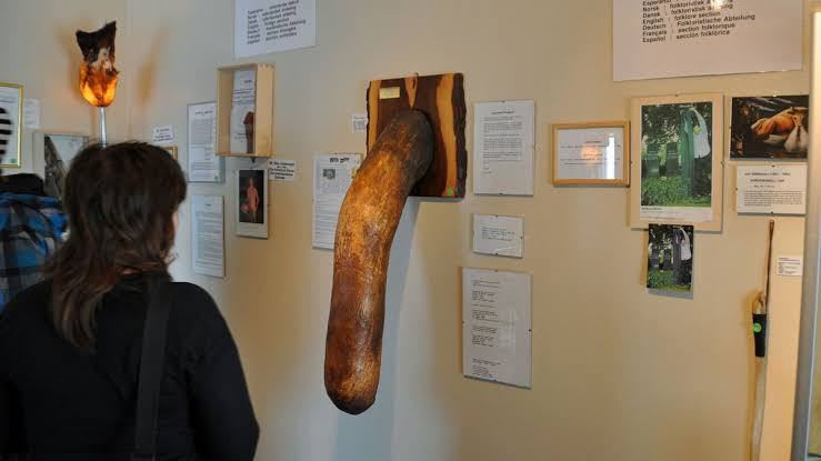 The Icelandic Phallological Museum