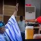 Tinubu roots for Hilda Baci to break Guiness World Record for cooking. [File]
