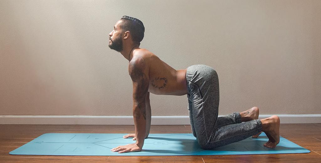 The cat-cow stretch [Liforme]