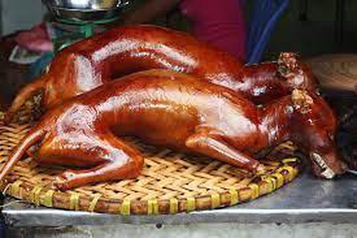 Dog meat is a delicacy in certain parts of Asia [Flick]