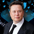 ElonMusk noubeau patron de Twitter