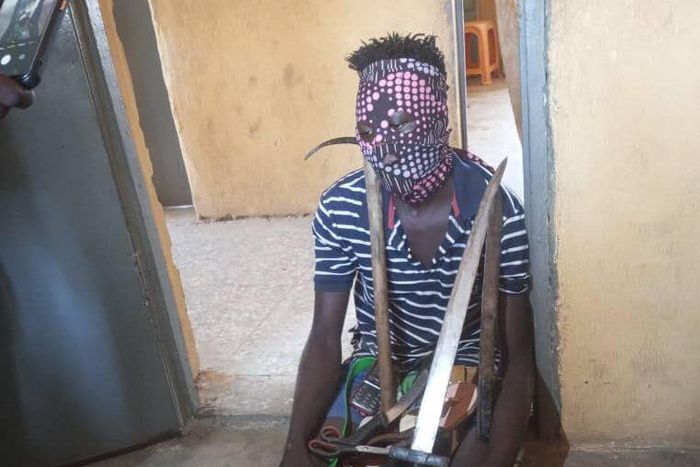 Suspect arrested by police operatives, who uses facemask when stealing goats in Kaduna. [NAN]