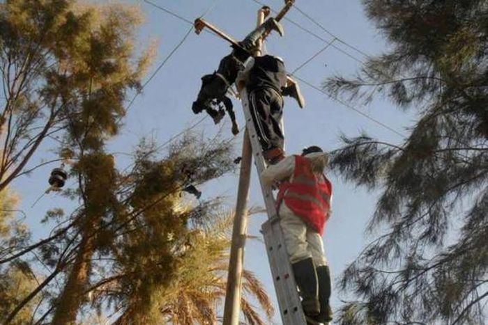 Man electrocuted to death after attempting to steal wire