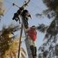 Man electrocuted to death after attempting to steal wire