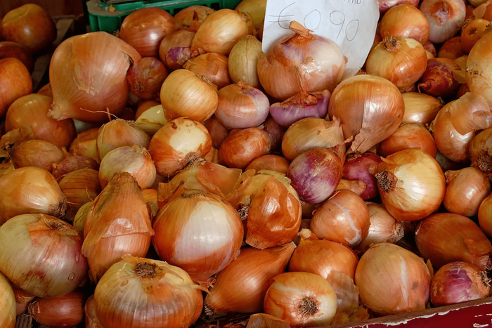 onion-Allium-cepa-bulbs (Encyclopedia Britannica)